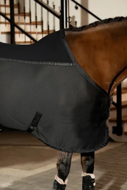 Platinum 25 Pro Cover Fliegendecke