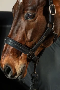 Platinum 25 Softshell Pearls Double Pin Halfter