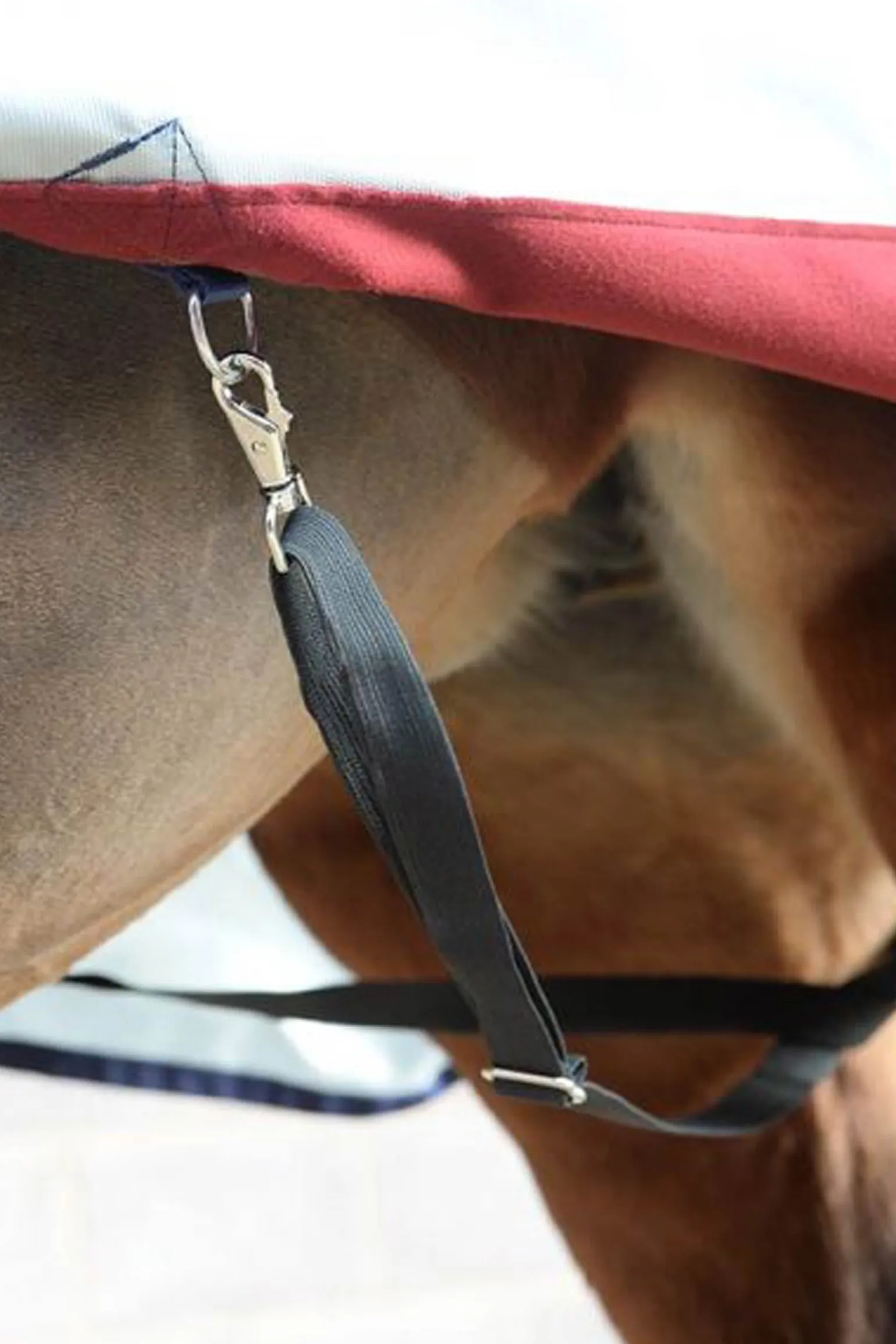 Power Extra Weidedecke mit Abschwitzfunktion, 300g