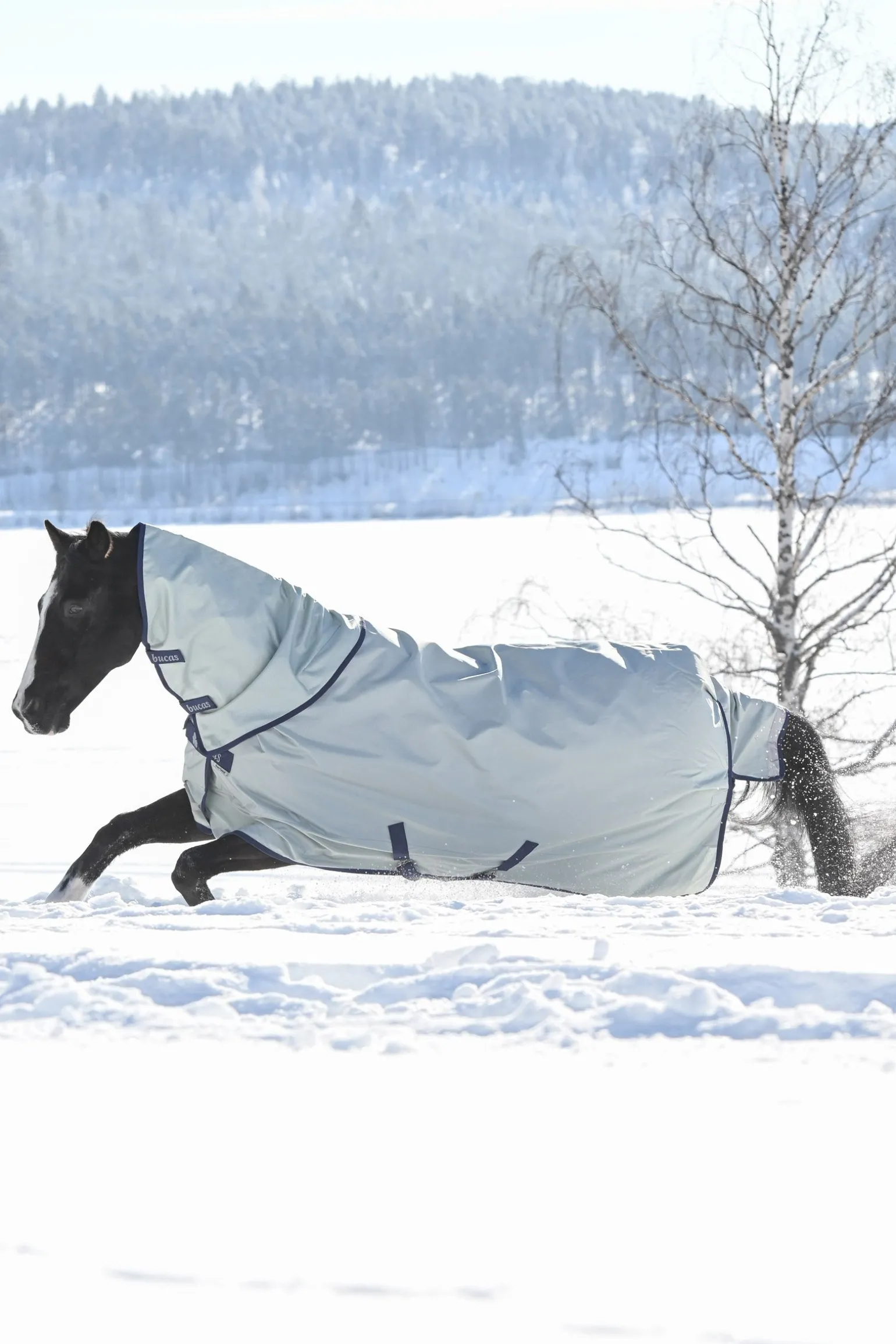 Power Extra Weidedecke mit Abschwitzfunktion, 300g