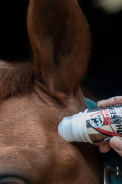 Power Phaser Roll On, 75ml