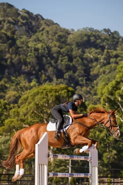 Prime Air-Tec Springschabracke