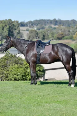 Prime Comfy Fleece Dressurschabracke