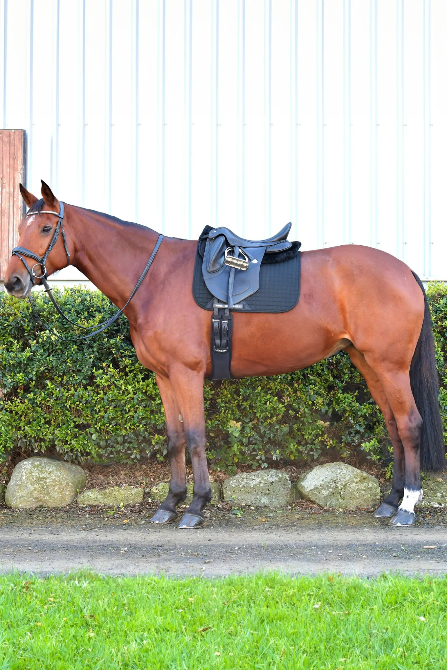 Prime Comfy Fleece Halbpad