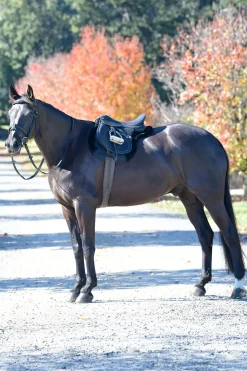 Prime Comfy Fleece Numnah