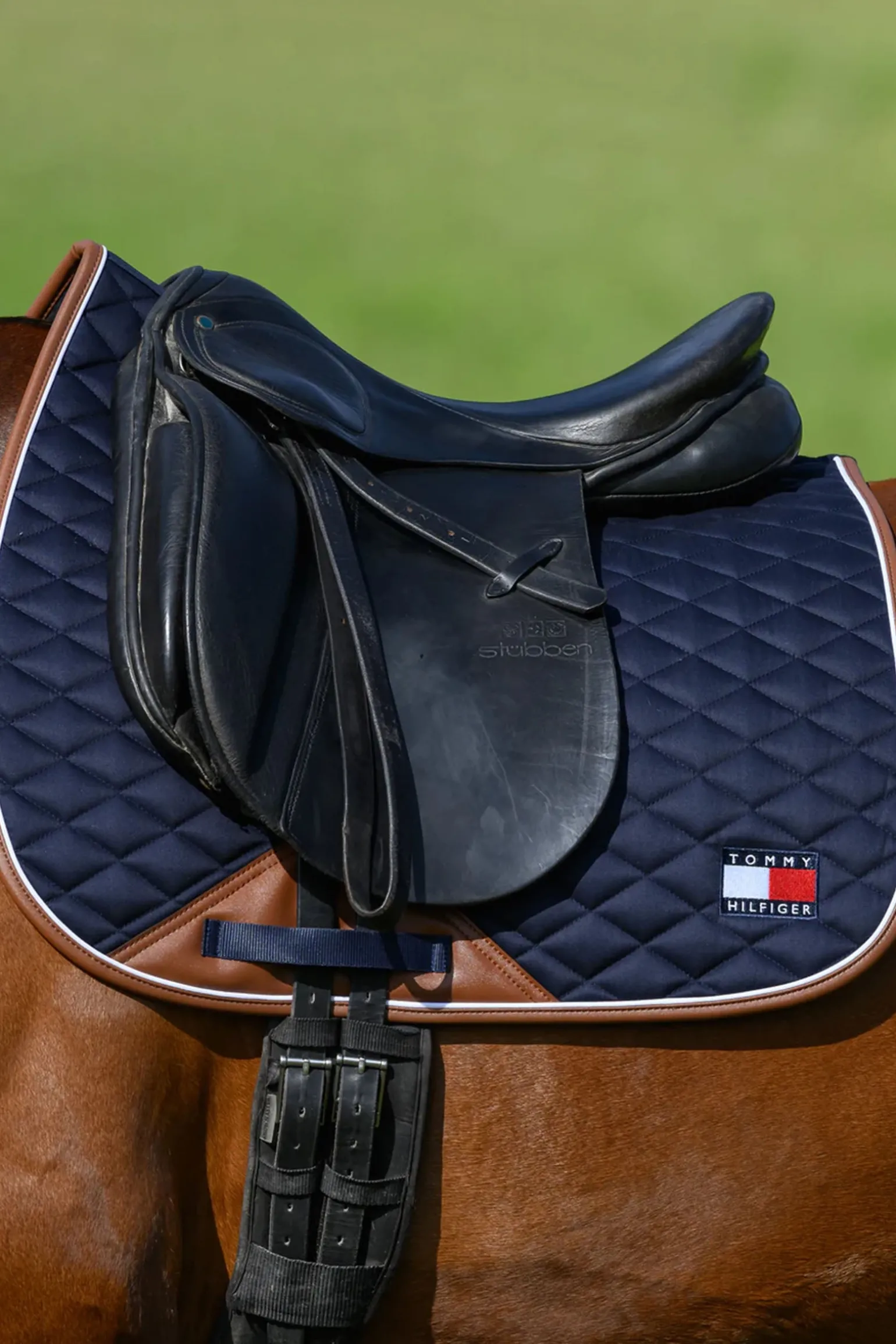 Princeton Dressurschabracke