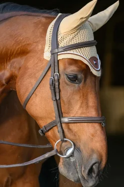 Princeton Fliegenhaube