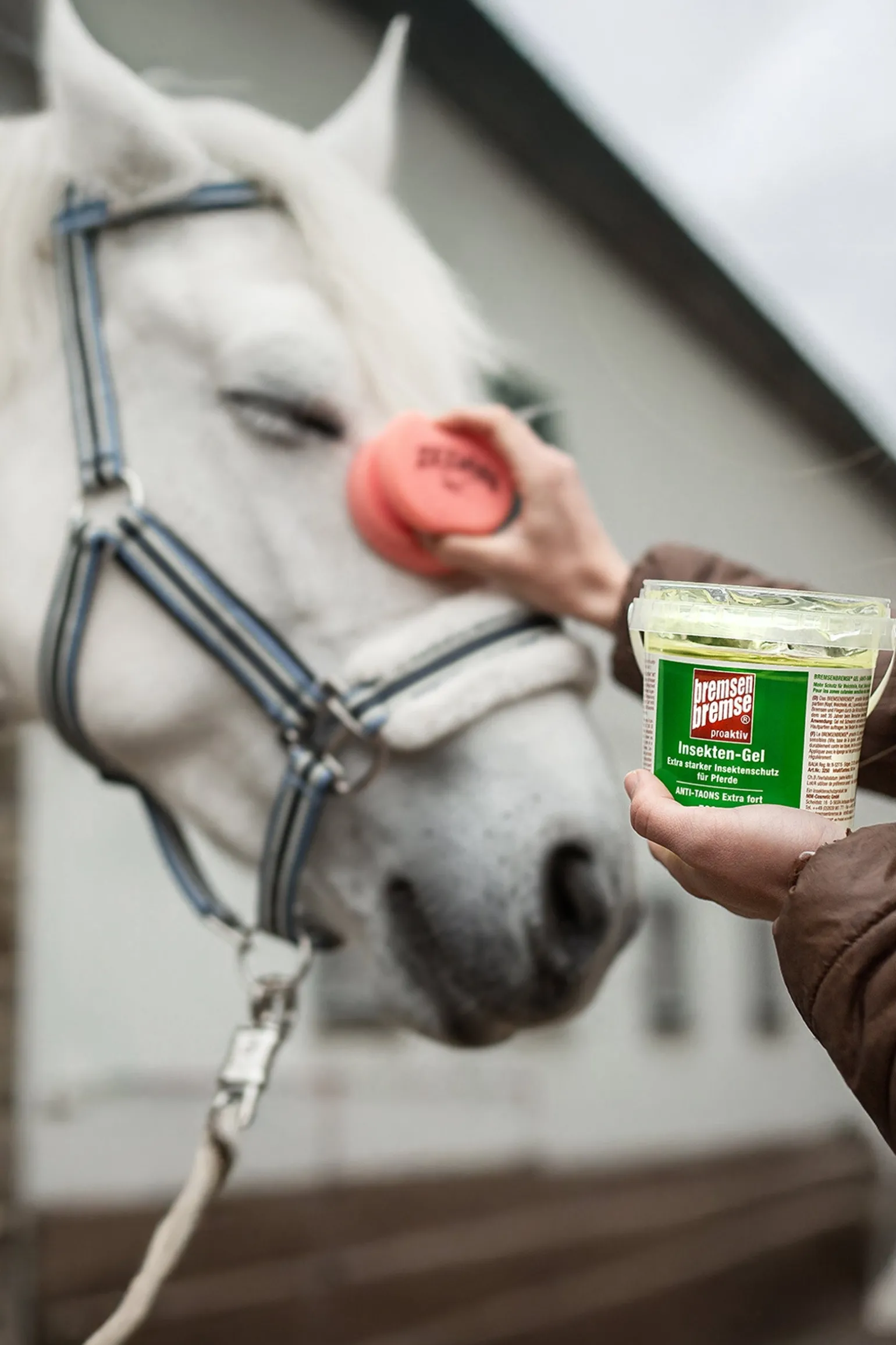 Proaktiv Gel Insektenschutz, 500ml