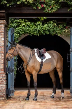 Prosorb Plain 2 Pocket GP Square Pad