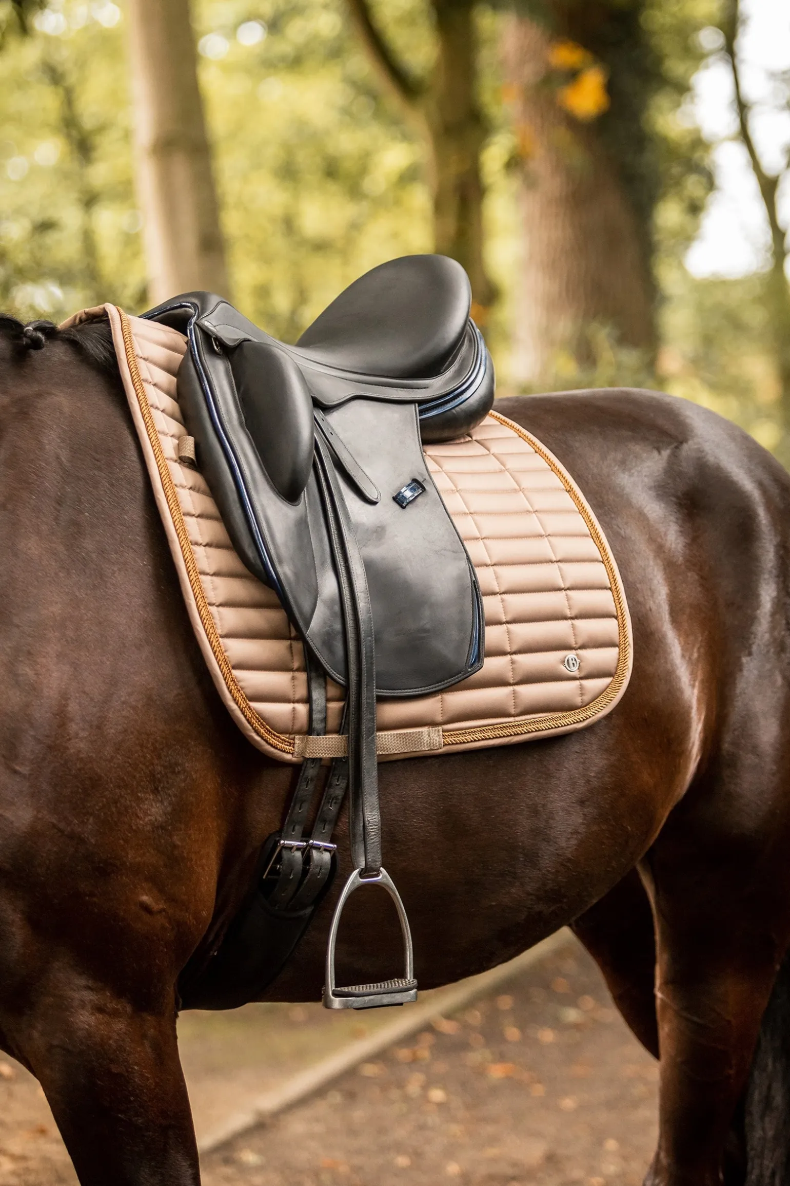 Quinn Dressurschabracke