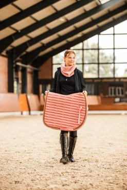 Quinn Vielseitigkeitsschabracke