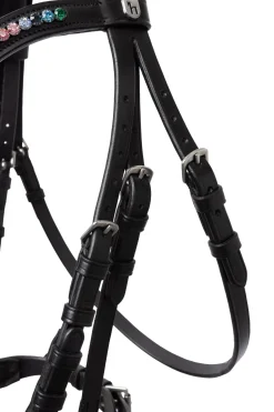 Rainbow Dash Pony Trense