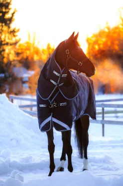 Rambo Duo Weidedecke mit abnehmbarem Halsteil, 100g