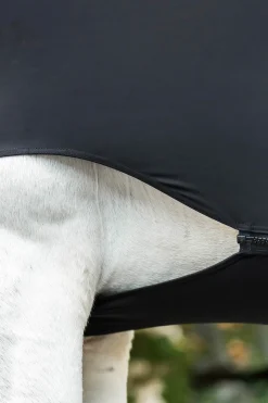 Rambo Slinky Full Body