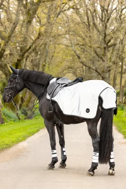 reflektierende Ausreitdecke