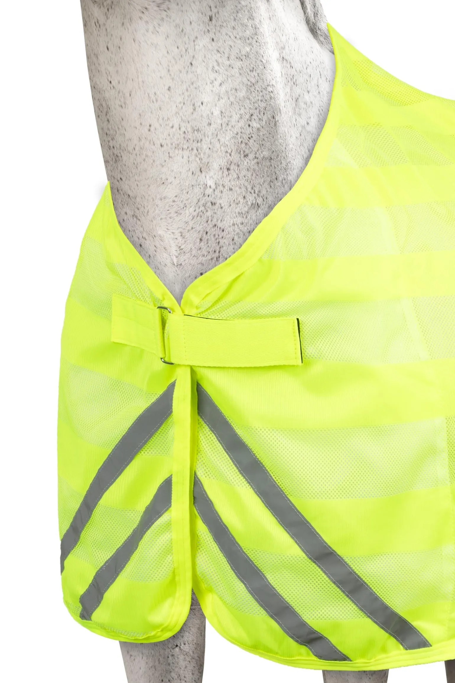 Reflektierende Netzdecke