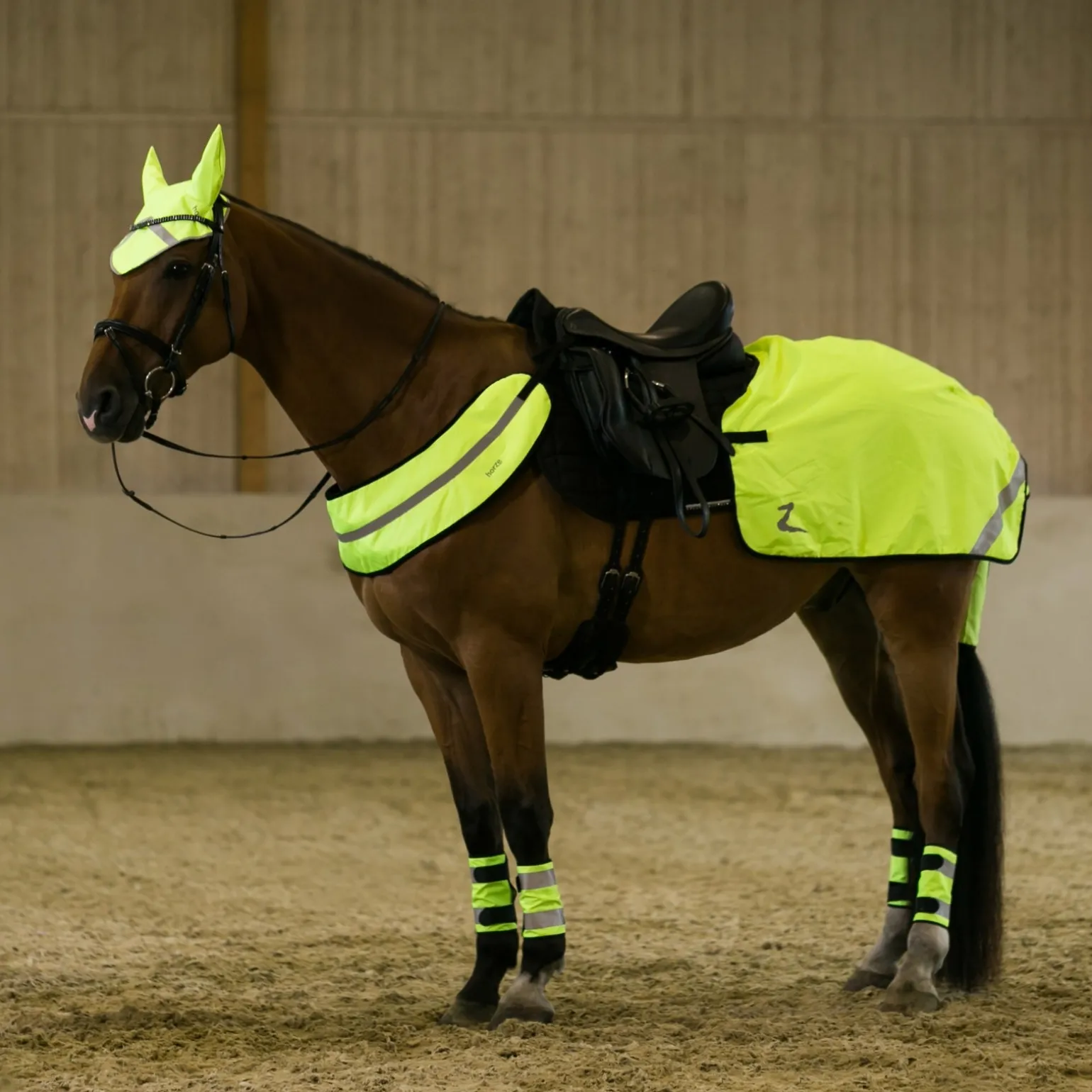 Reflektierender Brustgurt