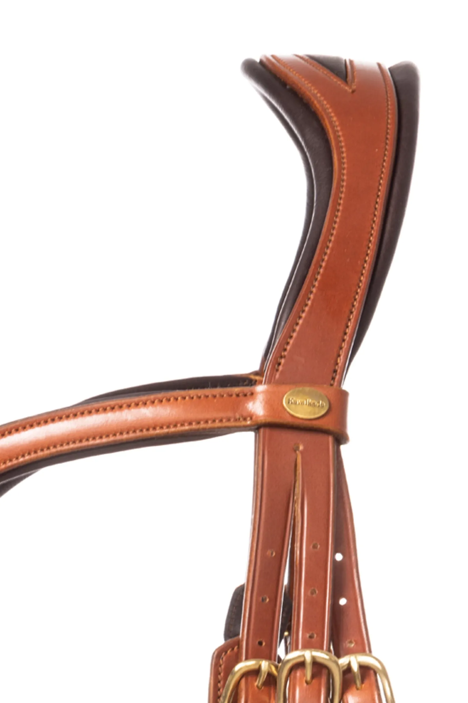 Robin Englische Trense