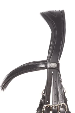 Robin Englische Trense