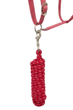 Rose Tonique Halfter