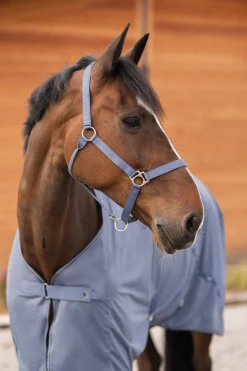 Rose Tonique Halfter