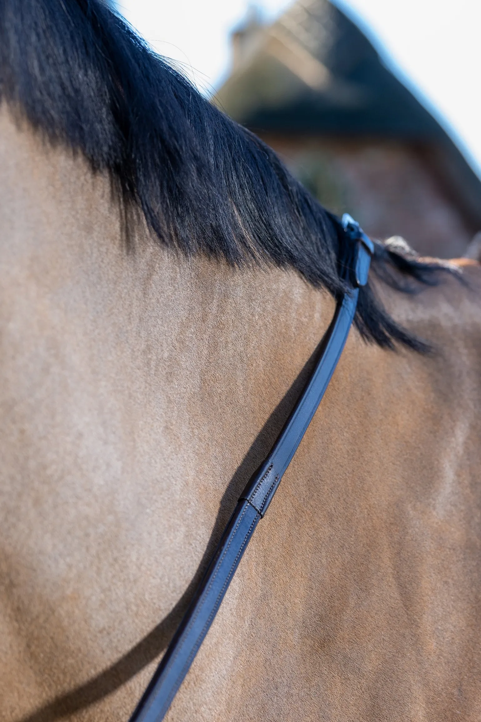 Rubber Grip Gummizügel