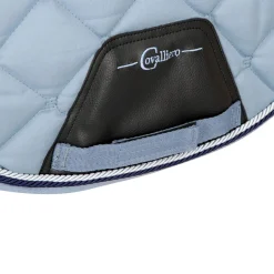 Schabracke Salvina, DS