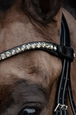 Schockemöhle Siena Trense