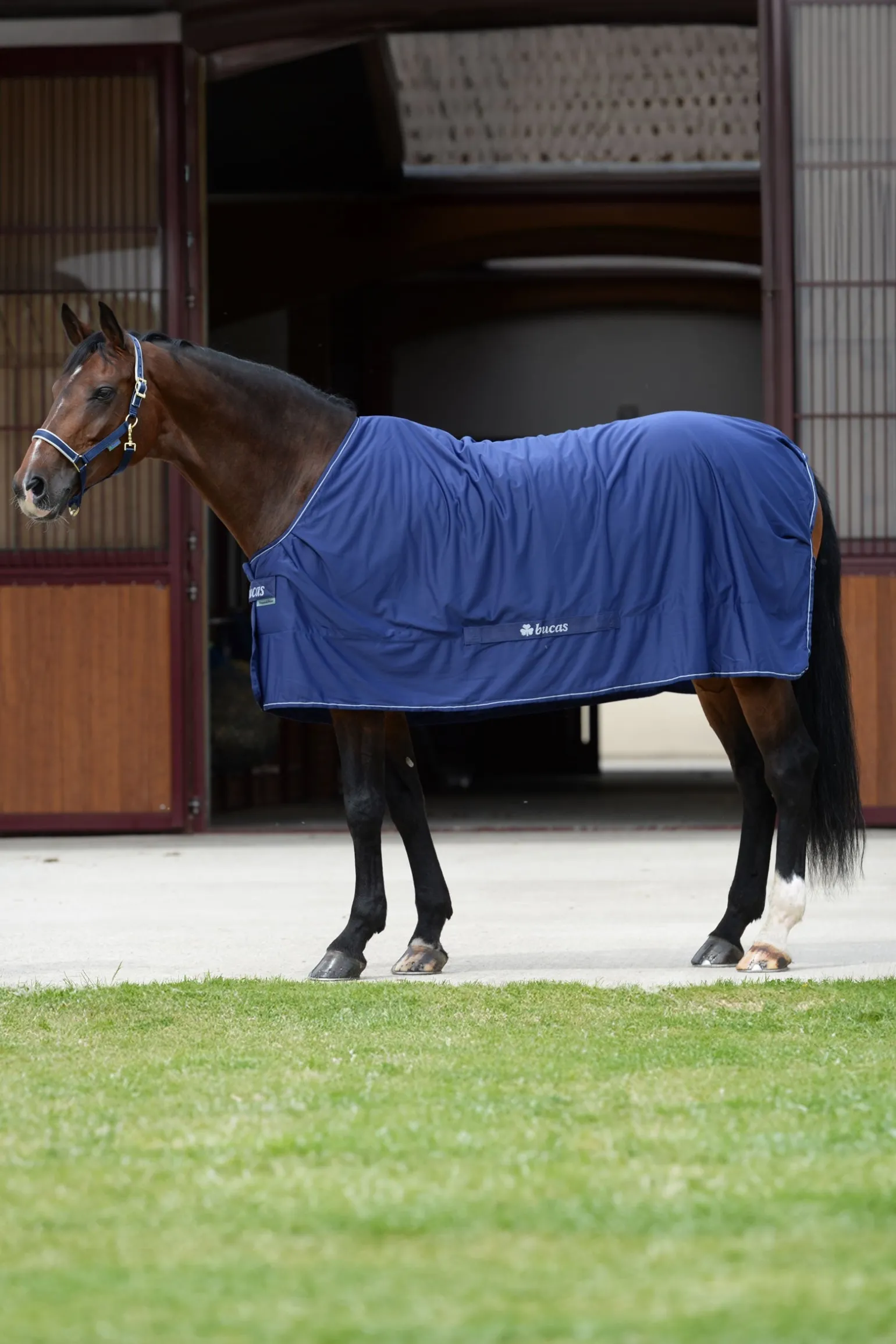 Shamrock Power Decke