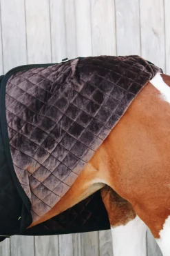 Show Rug Turnierdecke, 160g