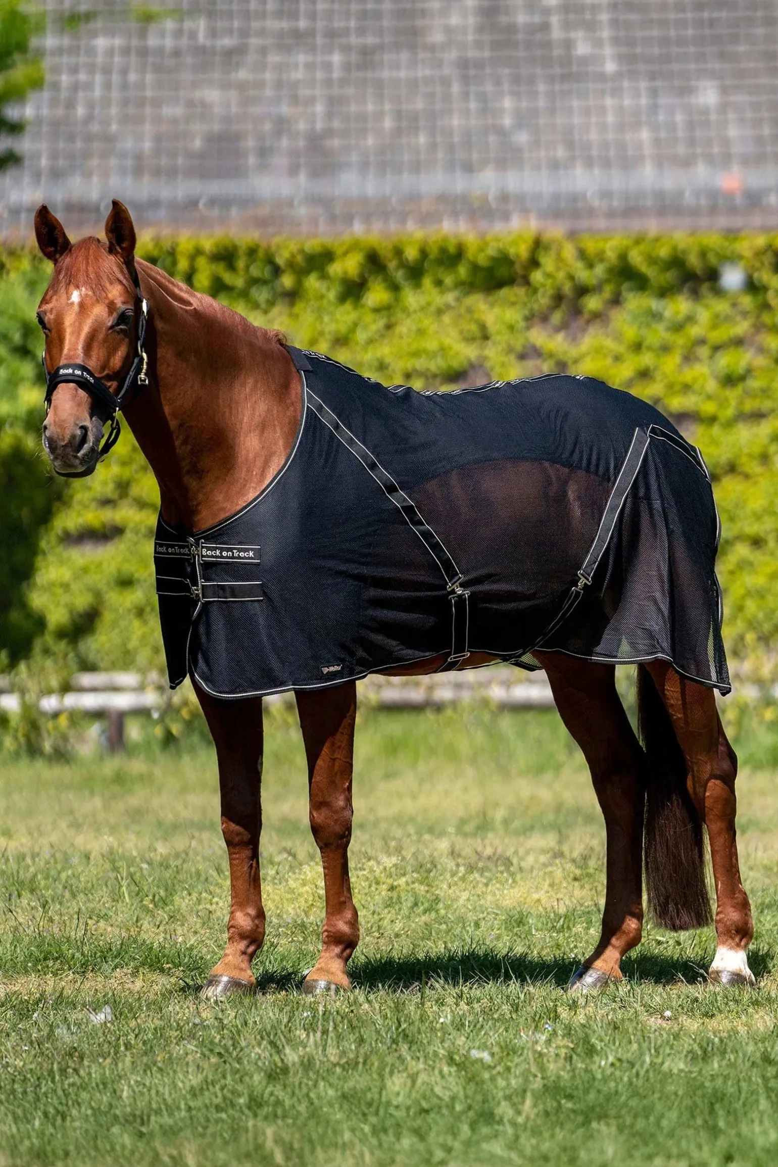 Sienna Abschwitzdecke