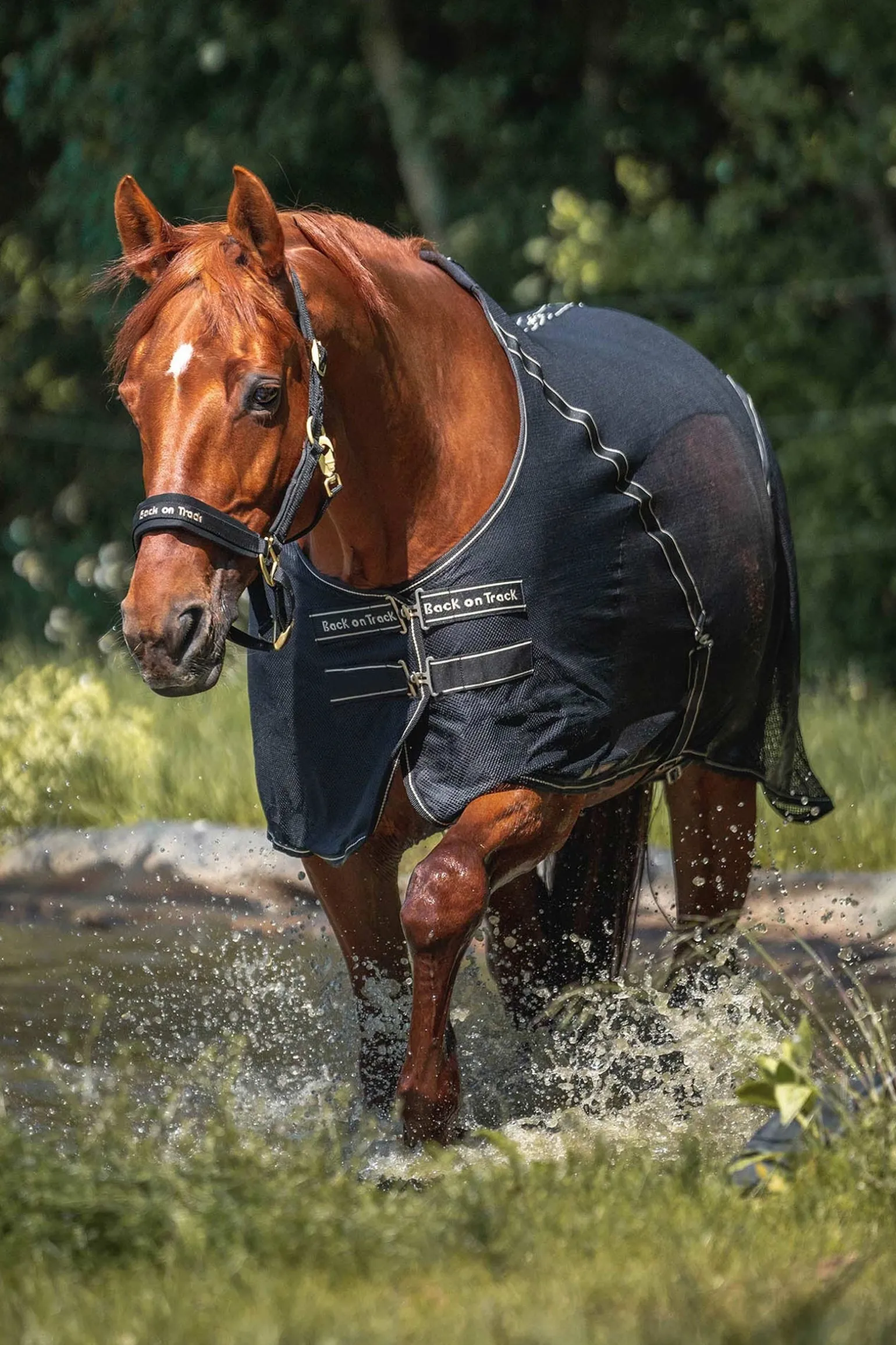 Sienna Abschwitzdecke