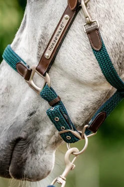 Signature geflochtenes Halfter