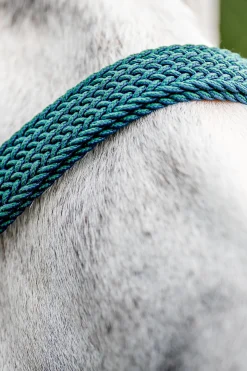 Signature geflochtenes Halfter