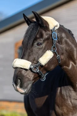 Simuwool Halfter Set