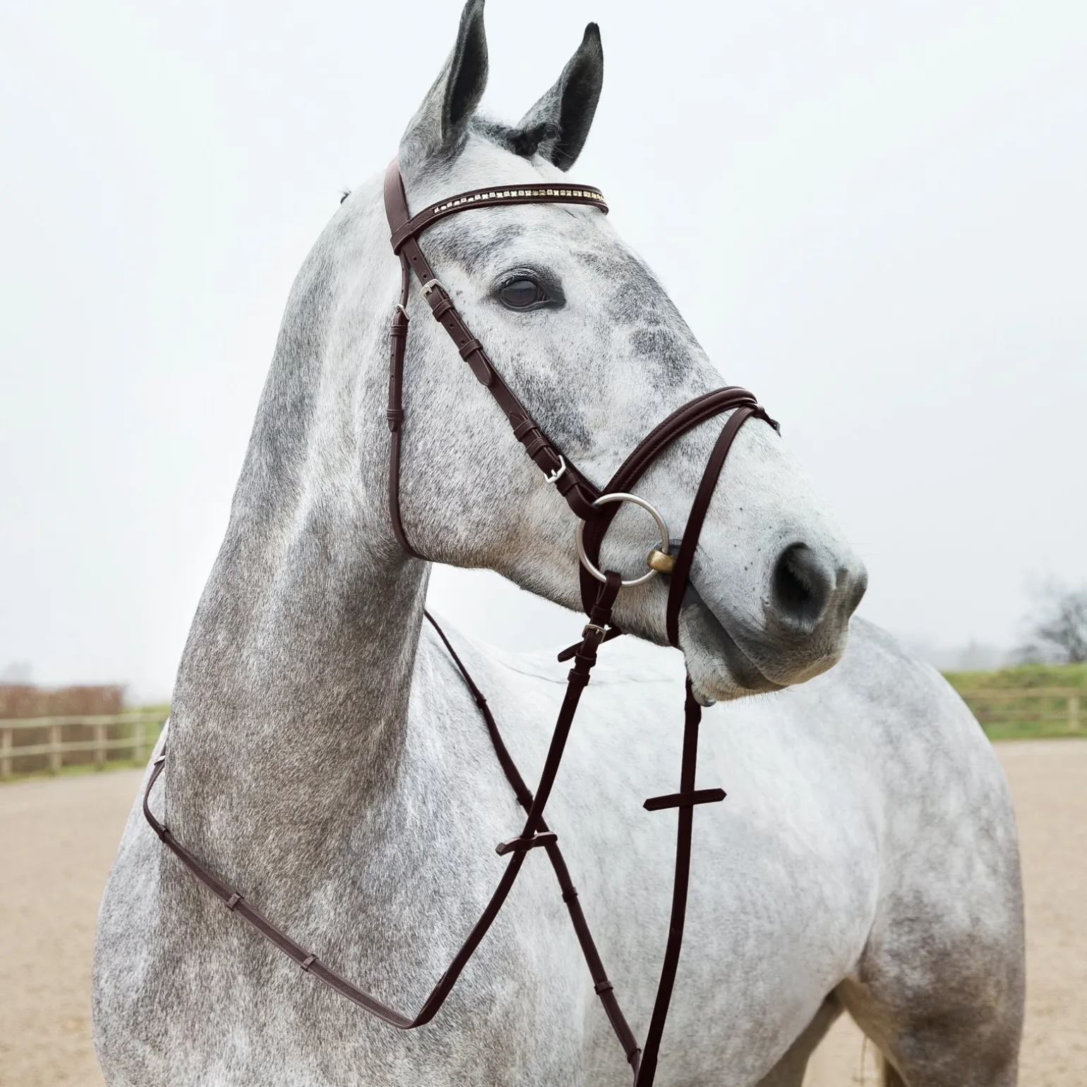 Slender verflochtene Zügel