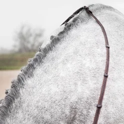 Slender verflochtene Zügel