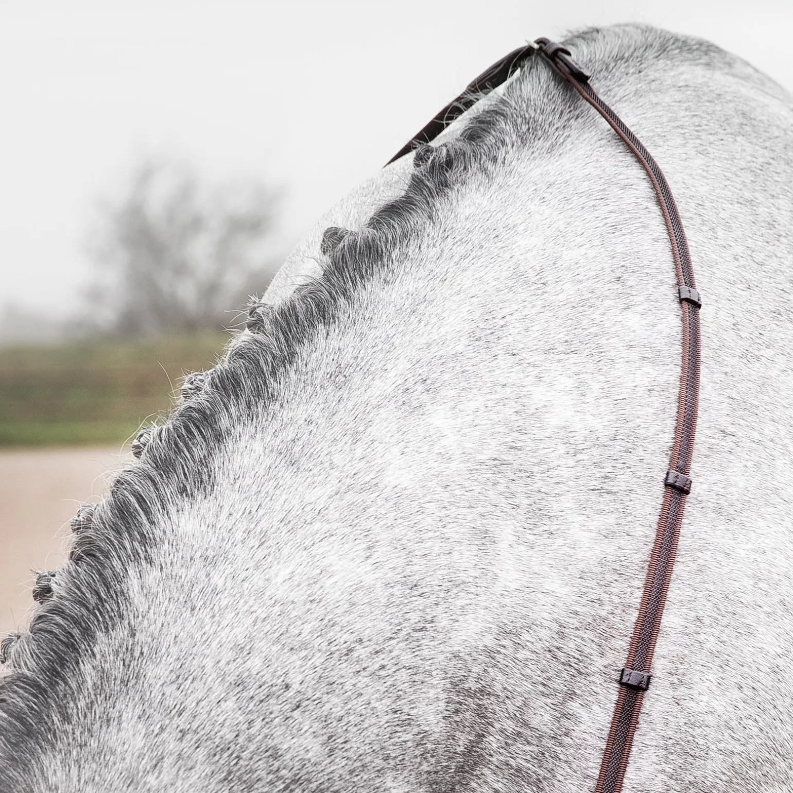 Slender verflochtene Zügel