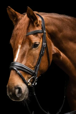 S-Line Glamour Trense