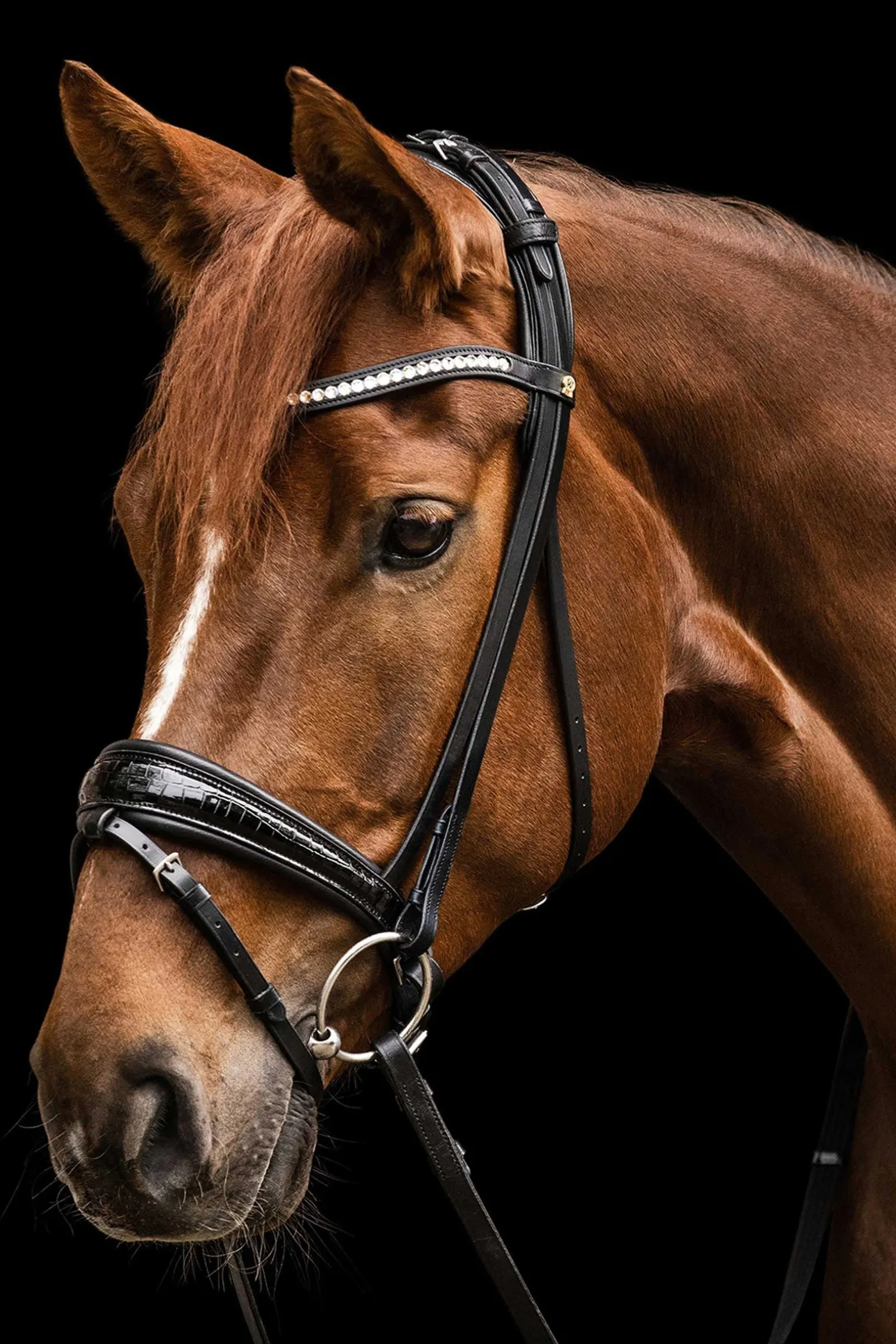 S-Line Trensenzaum Magic