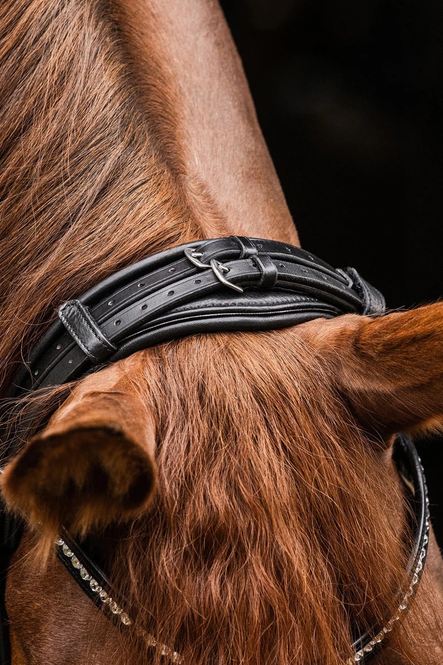 S-Line Trensenzaum Magic