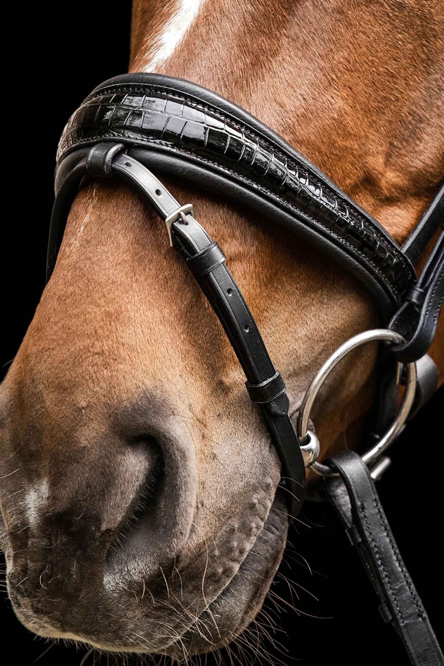 S-Line Trensenzaum Magic