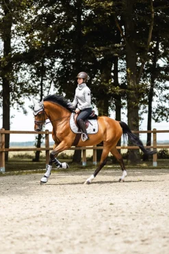 Smoky Twilight Springschabracke