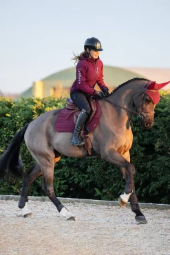 Soft Shell Anti-Rutsch Euro Spring Schabracke