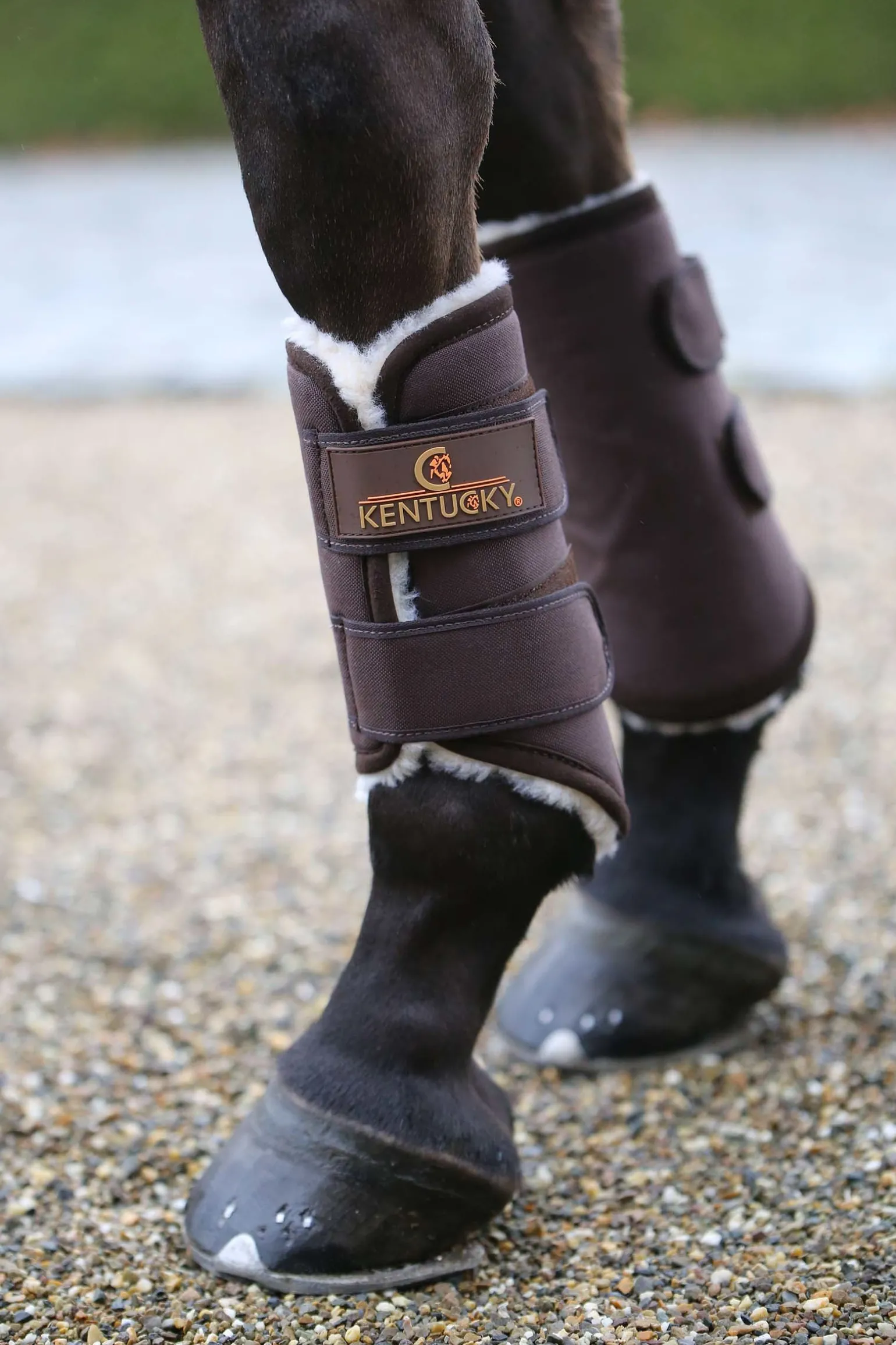 Solimbra Arbeitsgamaschen Hinten