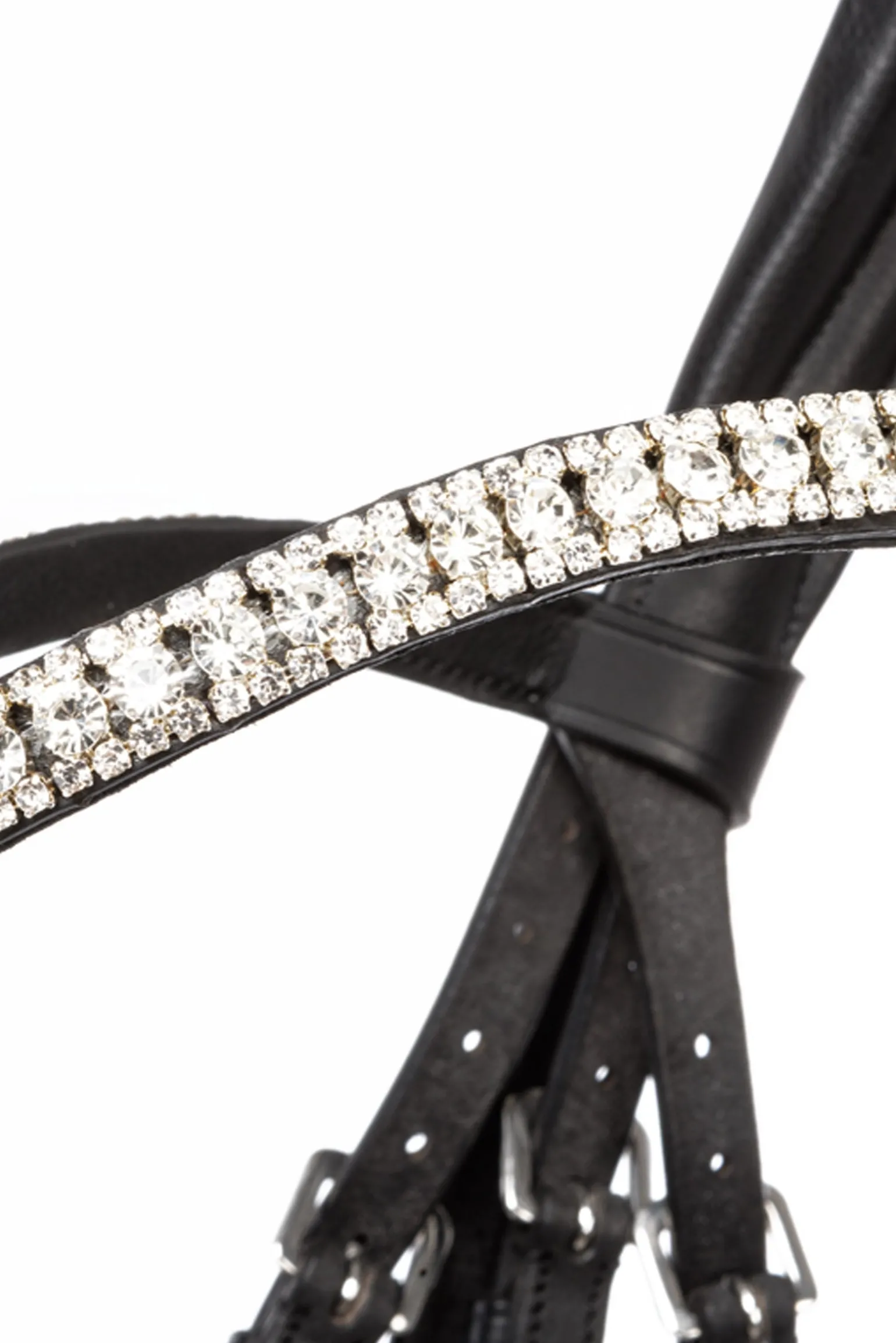 Sonya Weymouth Bridle