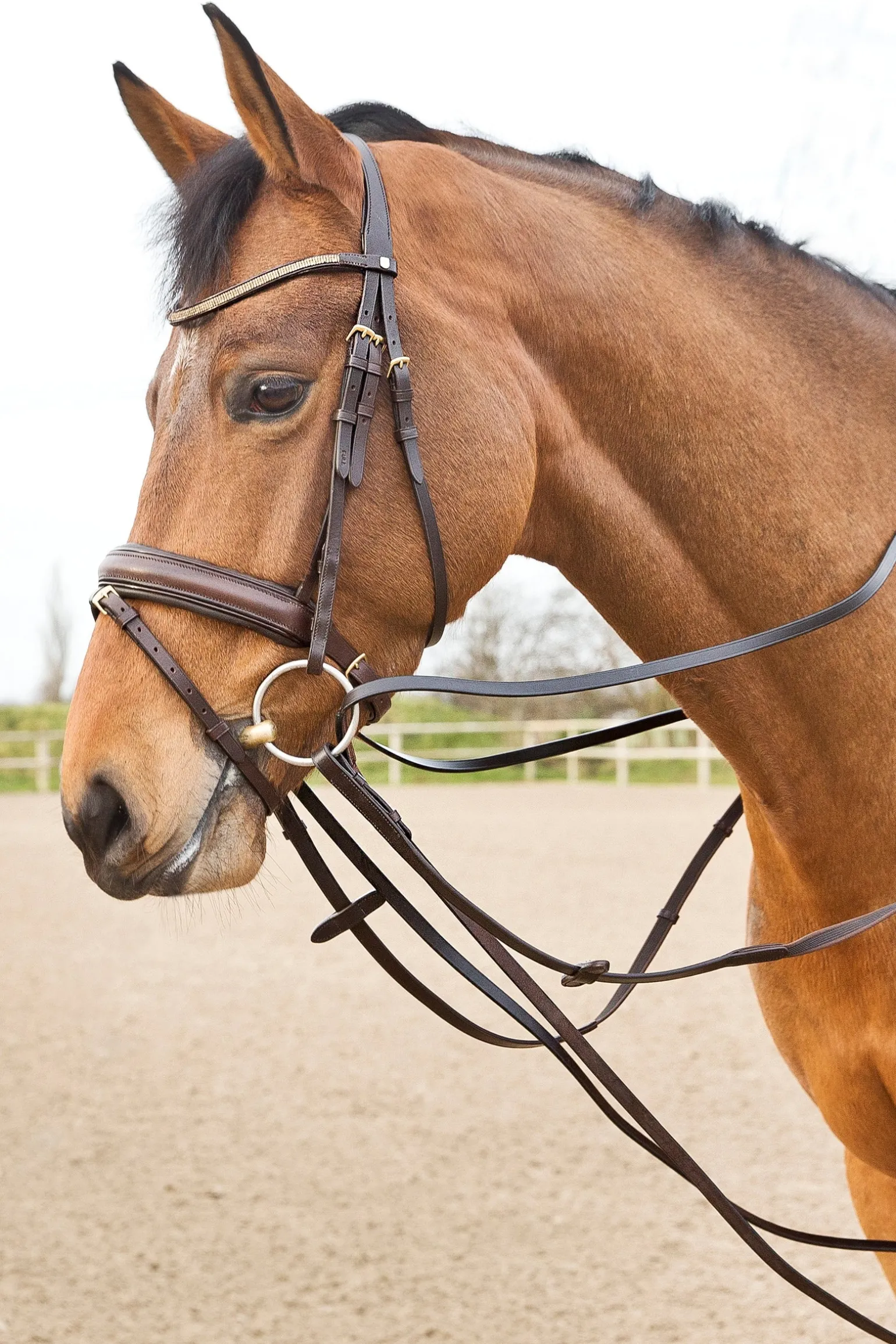 Sparta Schlaufzügel aus Leder