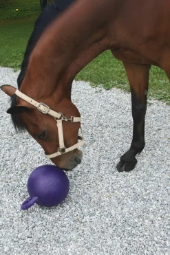 Spielball für Pferde, Geschmacksrichtung Apfel