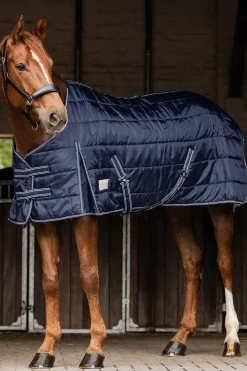 Stable Rug Economic 100 g