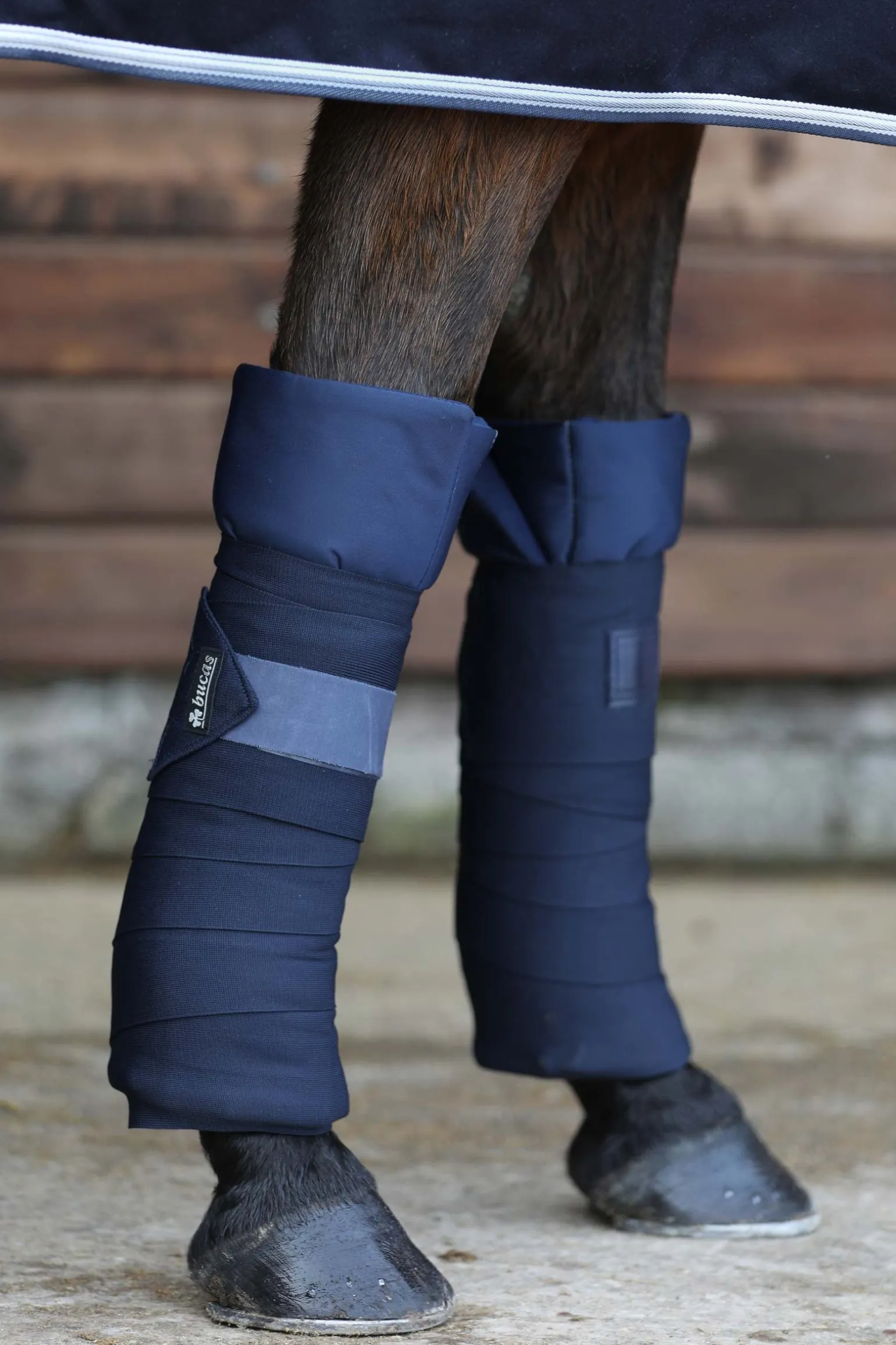 Stallbandagen (4-er Set)